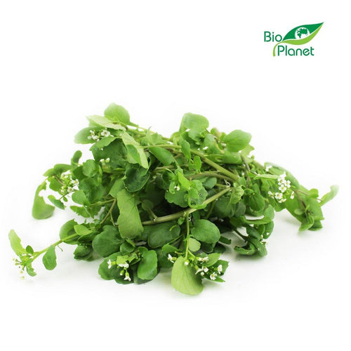 Rukiew wodna ekologiczna polska (0,05 kg) (EKO)