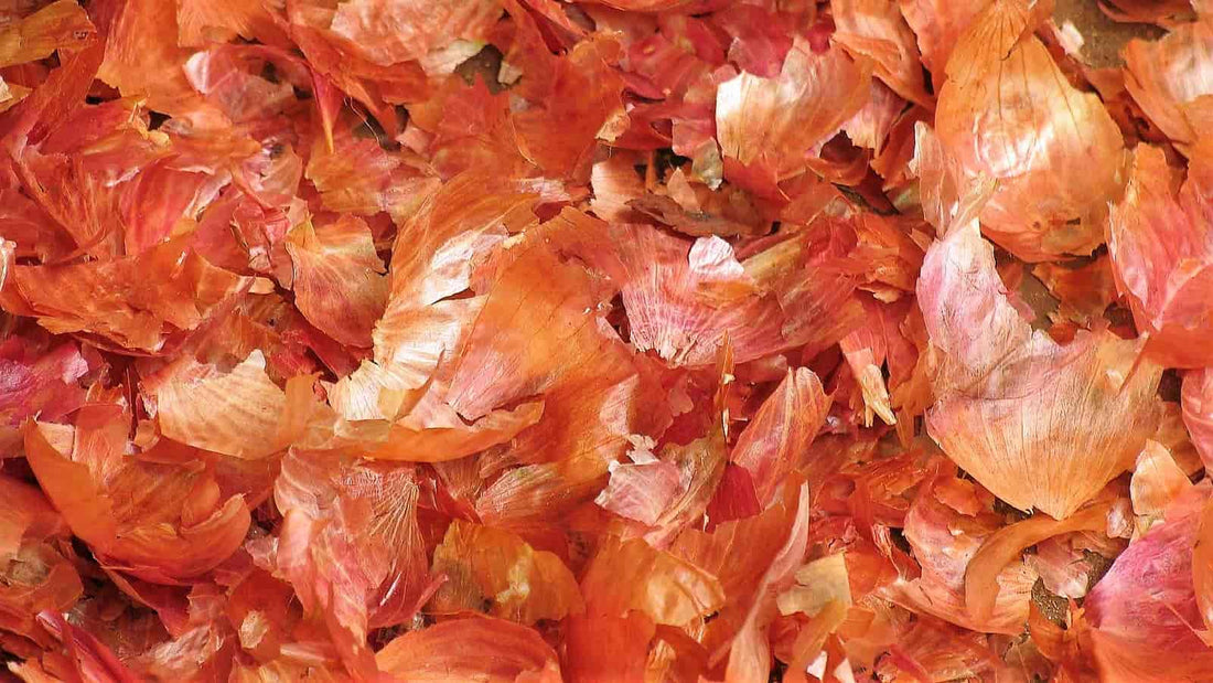 Łupiny Cebuli: Tradycyjny Sposób na Naturalne Kolory i Domowe Inspiracje