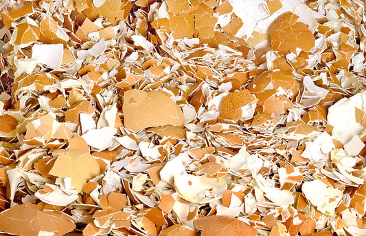 Skorupki Jaj: Niezwykłe Fakty i Praktyczne Zastosowanie w Domu