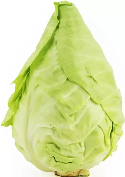 Kapusta szpiczasta ekologiczna (0,67 kg) (EKO)