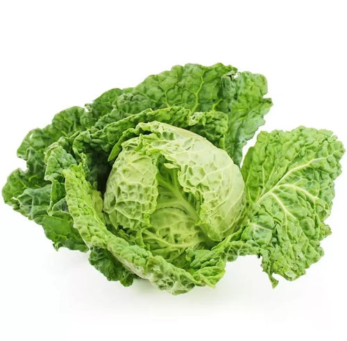 Kapusta włoska ekologiczna polska (0,6 kg) (EKO)