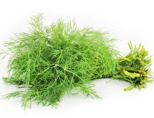 Koperek ekologiczny polski (0,02 kg) (EKO)