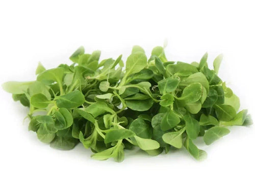 Roszponka ekologiczna niemyta (0,1 kg) (EKO)