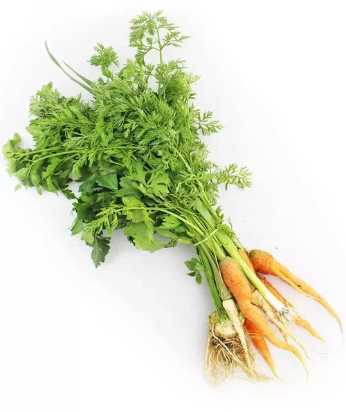 Włoszczyzna z nacią ekologiczna polska (0,5 kg) (EKO)